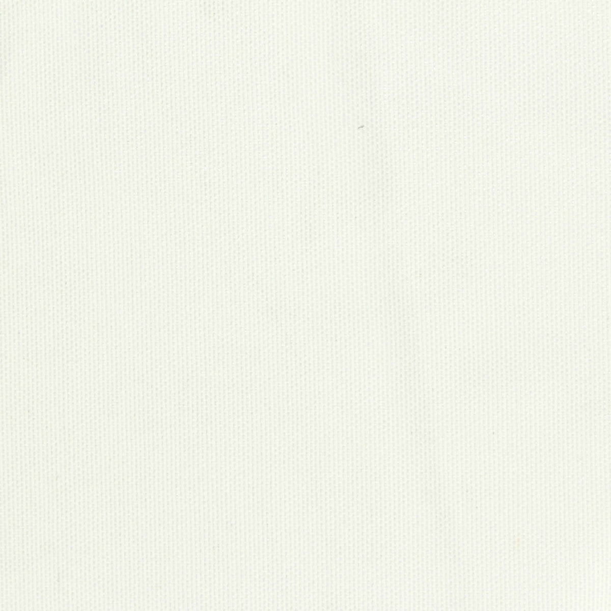 Nylon Stretch Mesh Fabric, 115 gsm, 160 cm — White