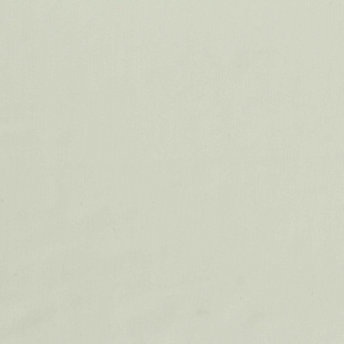 Polyester Stretch Rib Knit Fabric, 190 gsm, 170 cm — White