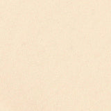 Brushed Polyester Stretch Milk Silk Knit Fabric, 180 gsm, 165 cm — Beige — texture