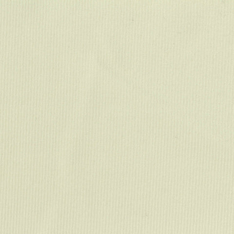 Polyester Stretch Knit Fabric, 260 gsm, 160 cm — Beige, ref EF-249170