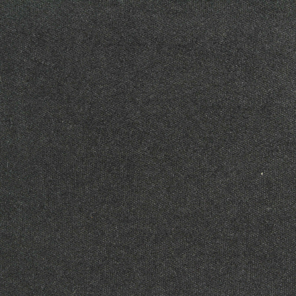 Dark Grey Marl Velvet, Polyester, 280 gsm, 185 cm, ref EF-249255