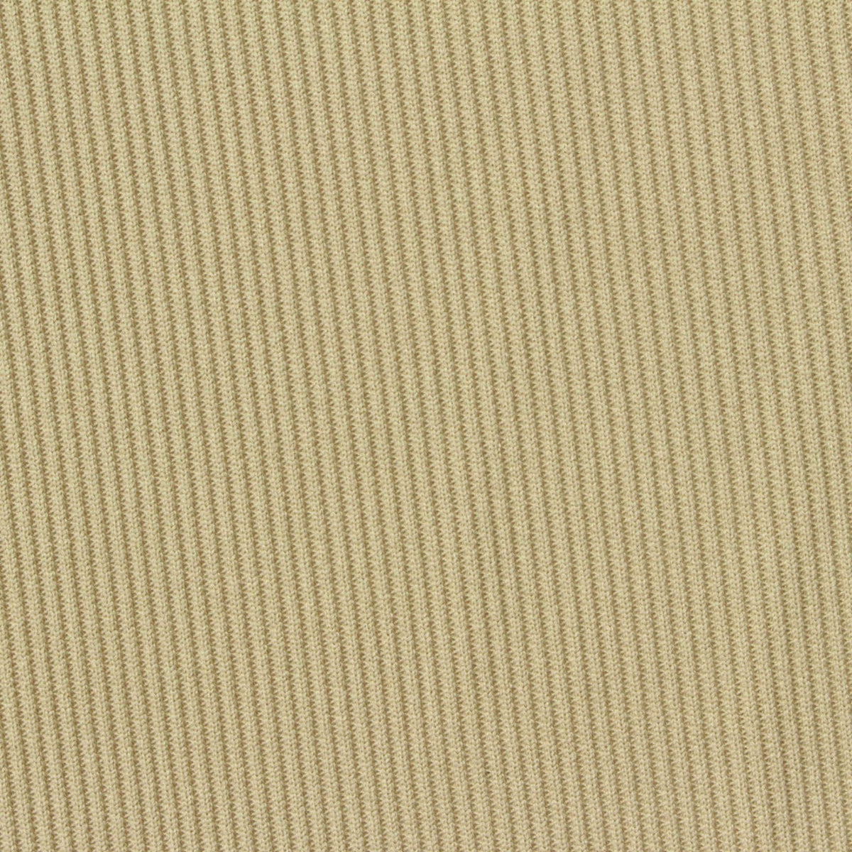 Polyester Stretch Knit Fabric, 260 gsm, 185 cm — Khaki, ref EF-249269