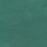 Polyester Stretch Interlock Knit Fabric, 196 gsm, 160 cm — Green