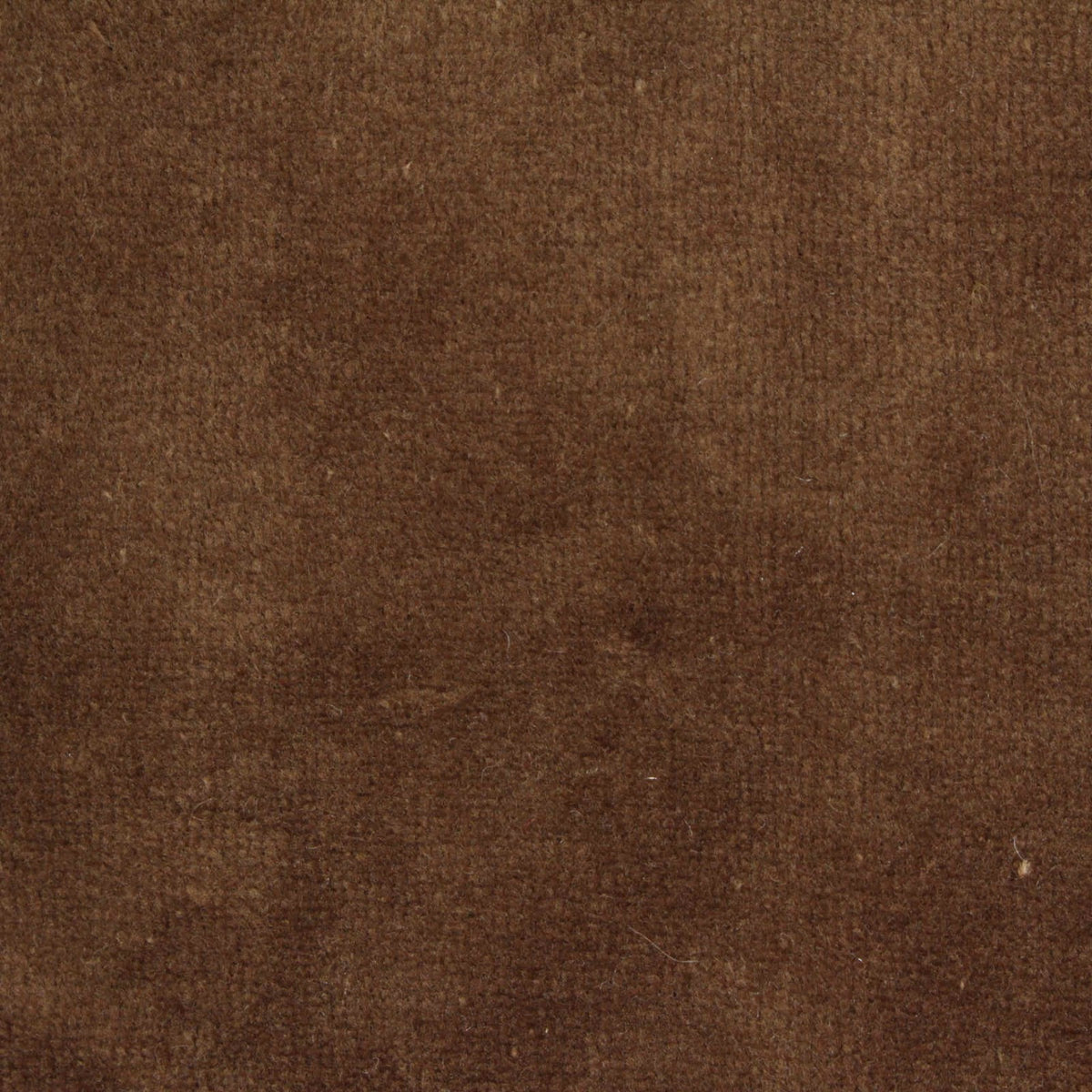 Cotton Polyester Velvet Fabric, 250 gsm, 170 cm — Brown