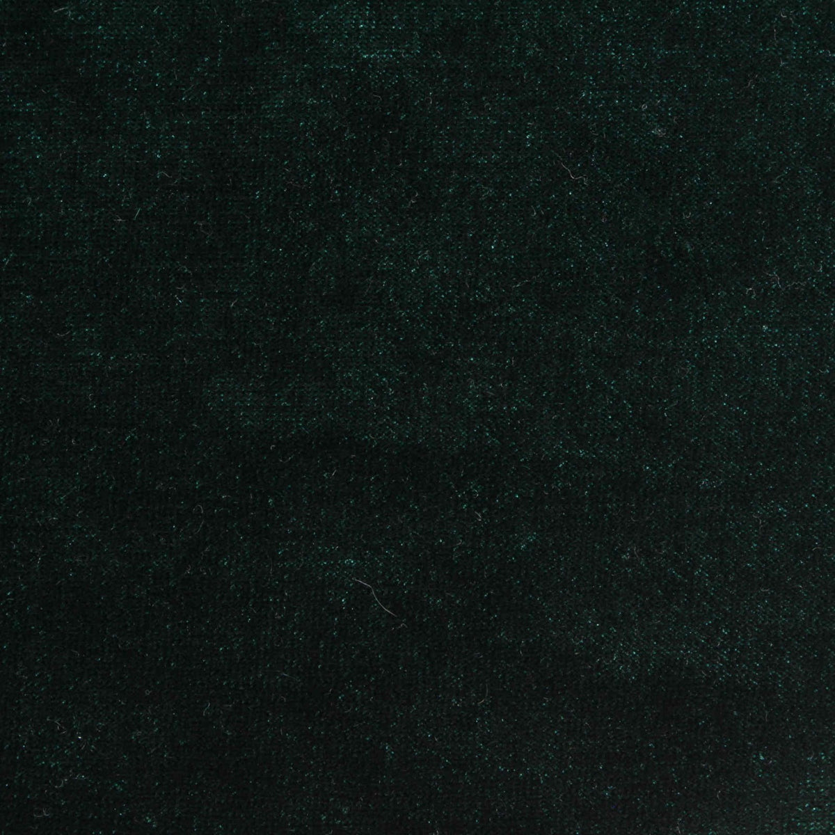 Polyester Stretch Velvet Fabric, 230 gsm, 157 cm — Green