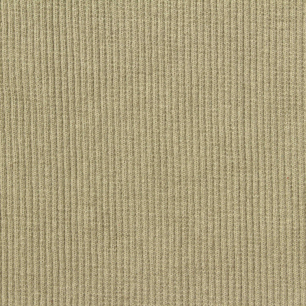 Polyester Cotton Stretch Rib Knit Fabric, 420 gsm, 60 cm — Khaki