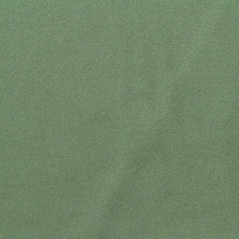 Nylon Stretch Interlock Knit Fabric, 180 gsm, 120 cm — Green