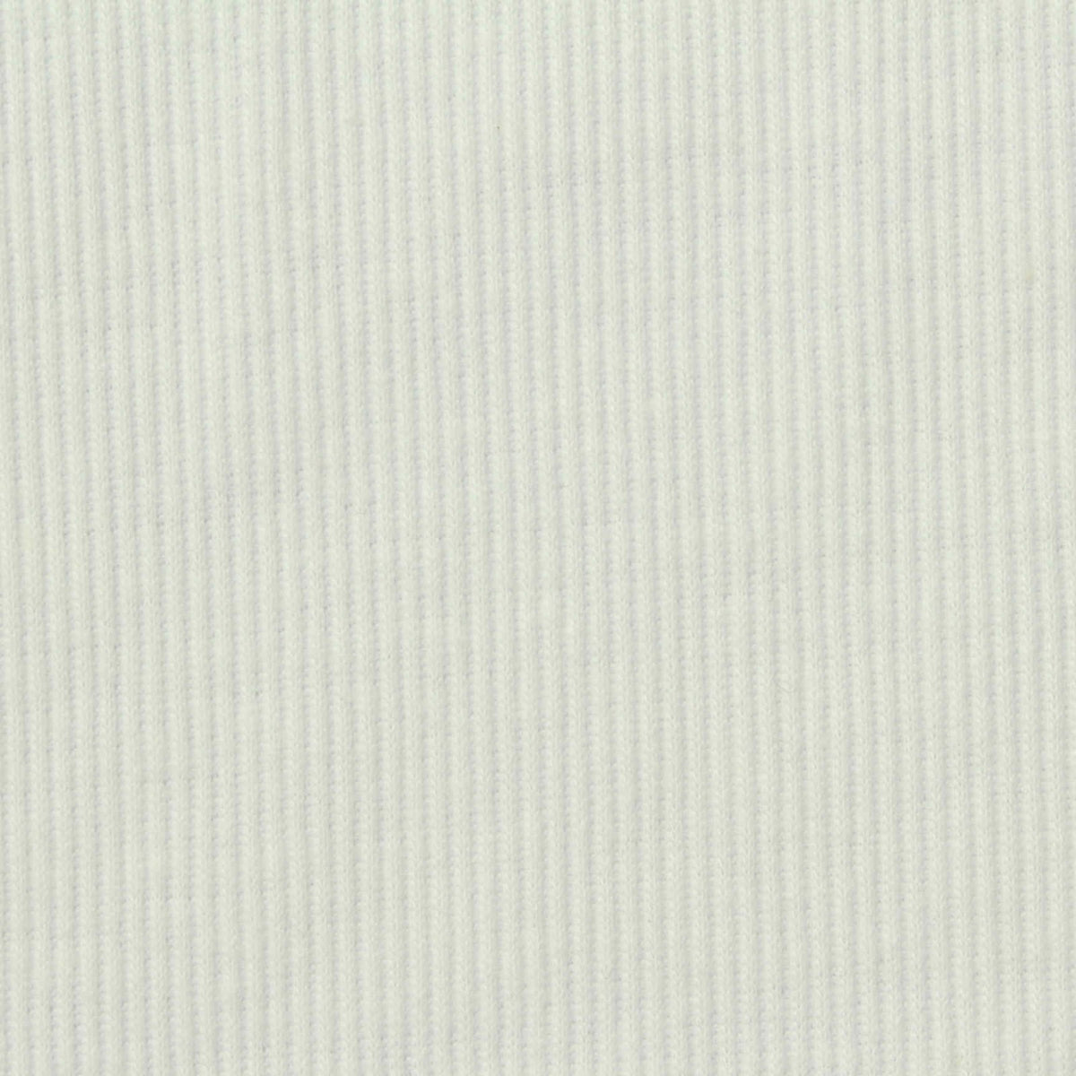 Polyester Cotton Stretch Rib Knit Fabric, 295 gsm, 120 cm — White