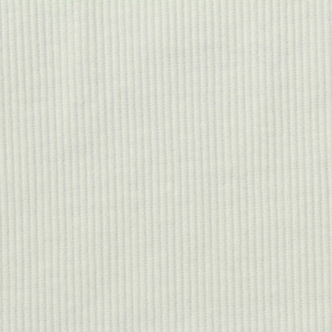 Polyester Cotton Stretch Rib Knit Fabric, 295 gsm, 120 cm — White