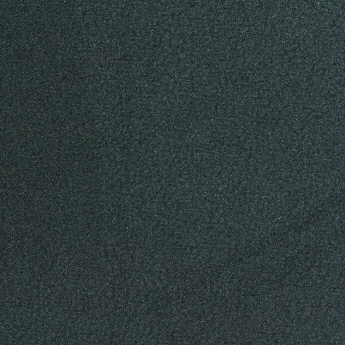 100% Polyester Fleece Fabric, 280 gsm, 160 cm — Green