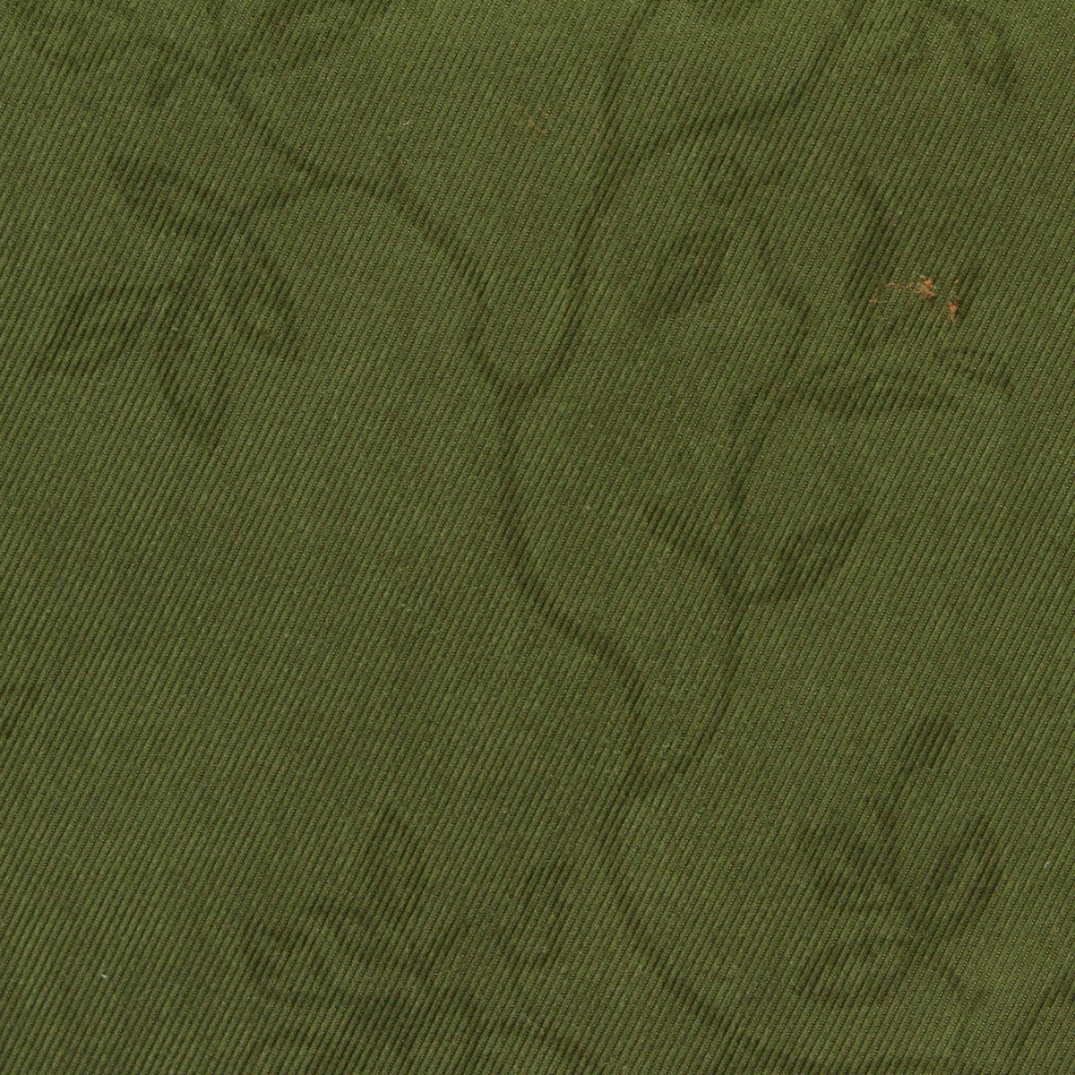 Printed Polyester Woven Fabric, 160 gsm — Green, ref EF-250862