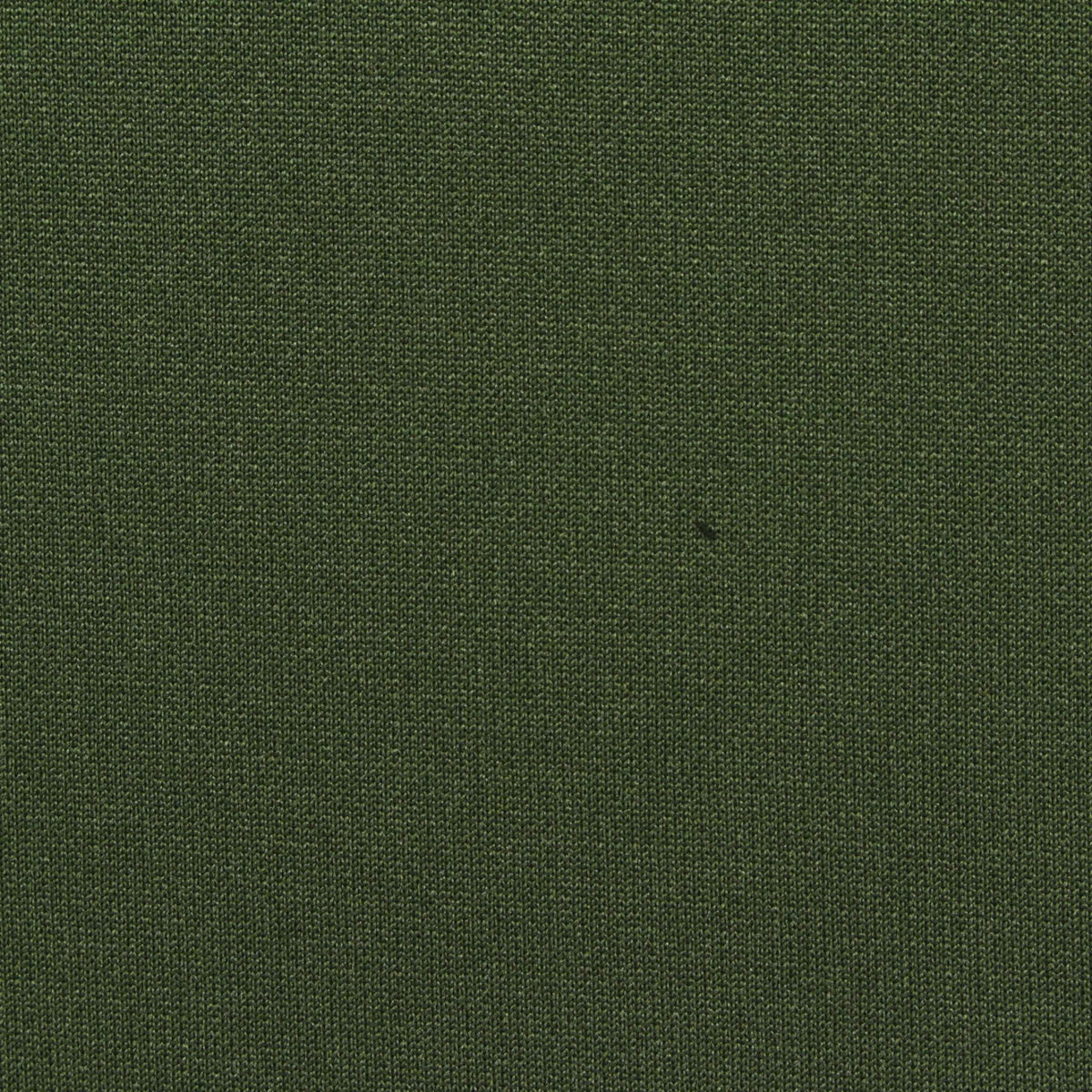 100% Polyester Fleece Fabric, 260 gsm, 150 cm — Green