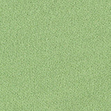 Polyester Stretch Scuba Knit Fabric, 200 gsm, 163 cm — Green — texture