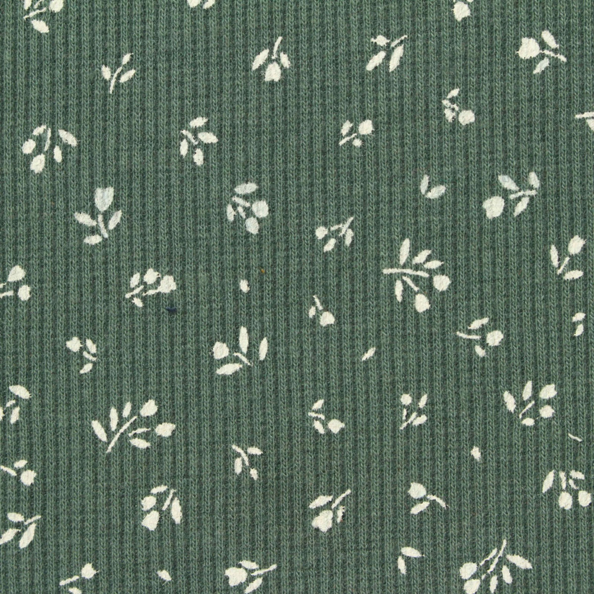 White Floral Rib Knit, Poly-Cotton, 250 gsm