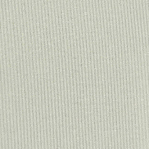 Nylon Stretch Interlock Knit Fabric, 160 gsm, 170 cm — Grey