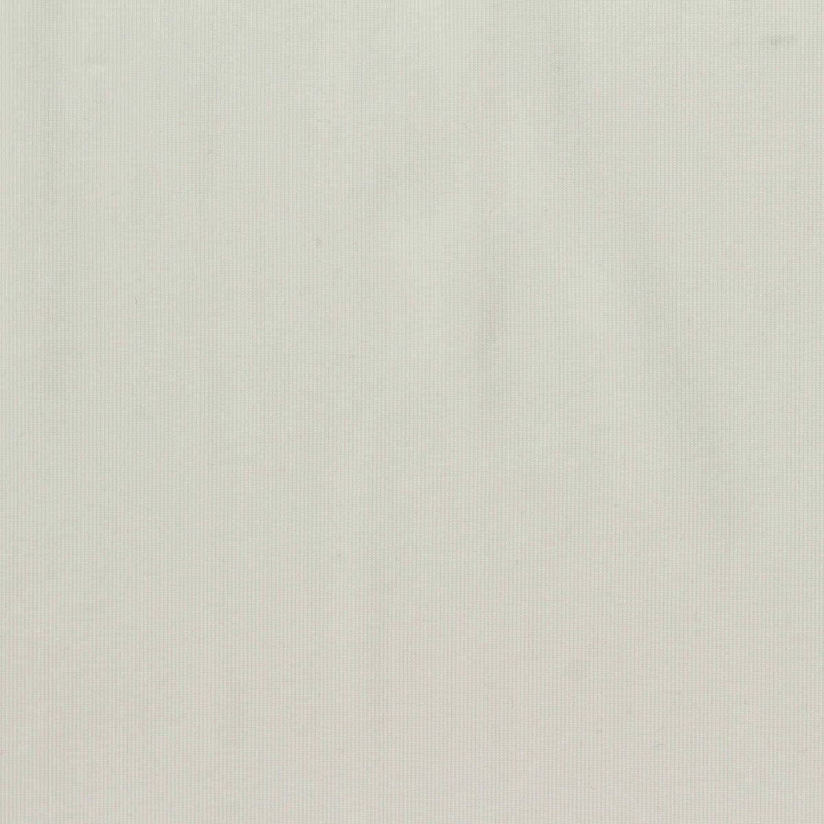 Nylon Stretch Jersey Knit Fabric, 110 gsm, 160 cm — White
