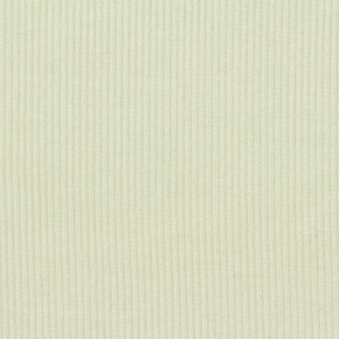 Polyester Viscose Stretch Rib Knit Fabric, 300 gsm, 120 cm — Beige