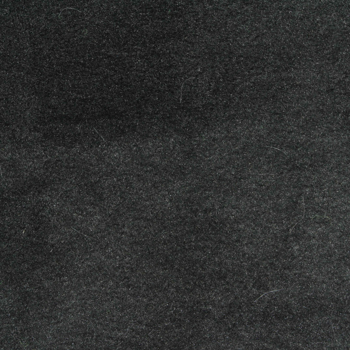 Charcoal Brushed Minky, Polyester