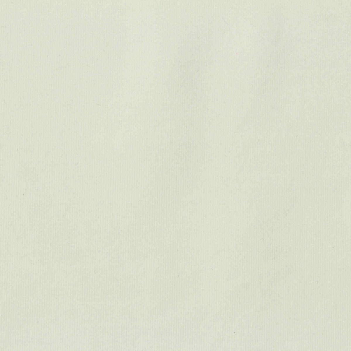 Nylon Stretch Sateen Fabric, 260 gsm, 160 cm — White