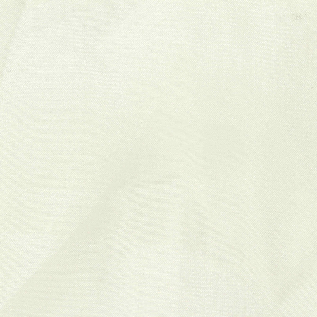100% Polyester Organza Fabric, 50 gsm, 150 cm — White