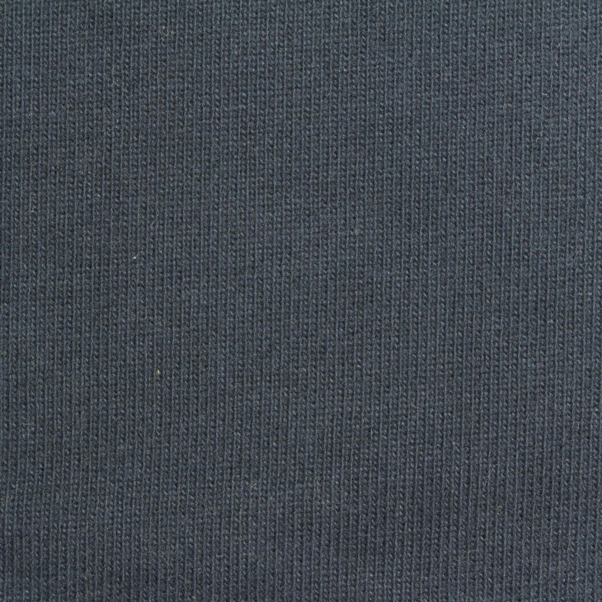 Brushed 100% Cotton Jersey Knit Fabric, 350 gsm, 165 cm — Navy