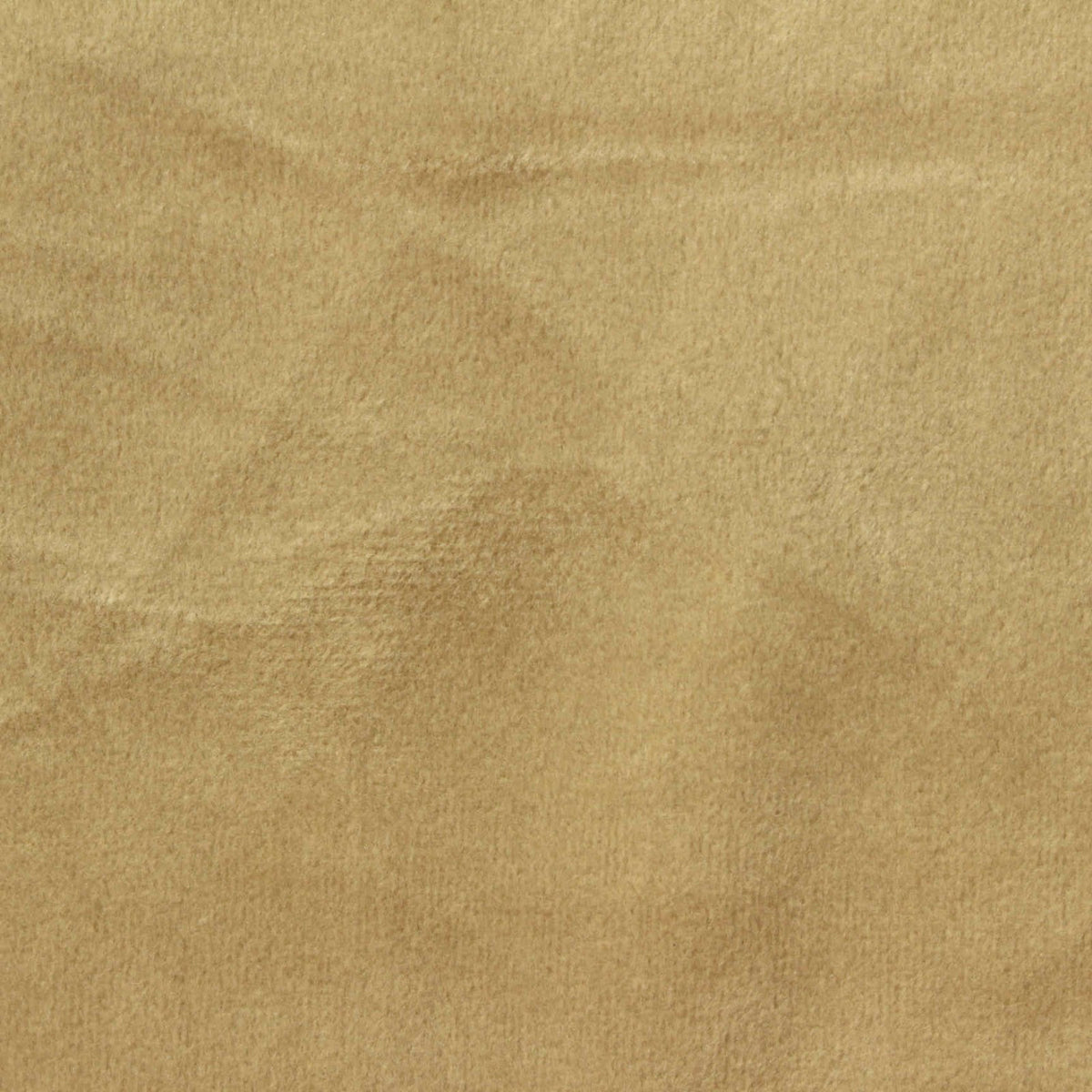 Polyester Stretch Warp Knit Fabric, 260 gsm — Khaki, ref EF-252580