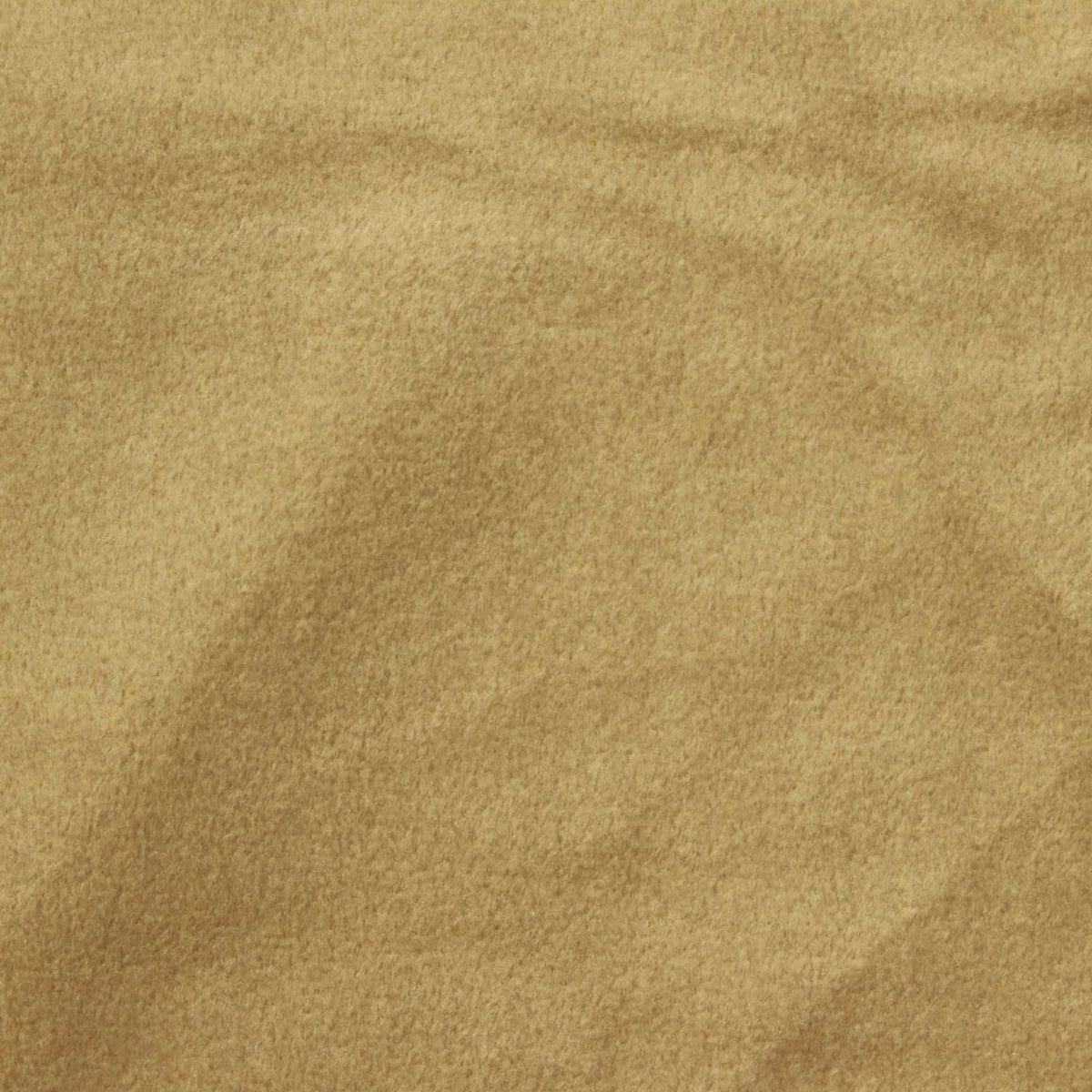 Camel Brushed Minky, Polyester