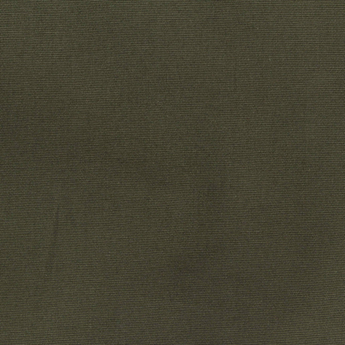 Cotton Stretch Poplin Fabric, 119 gsm, 147 cm — Khaki