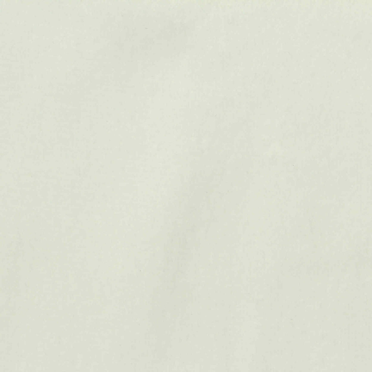 White Plush Minky, Polyester