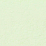 100% Polyester Fleece Fabric, 270 gsm, 155 cm — Green — texture