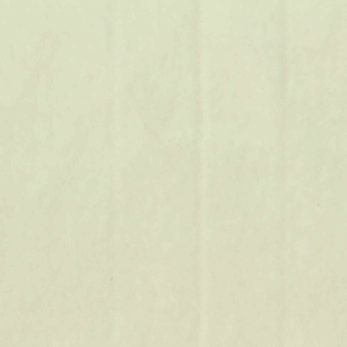 Polyester Stretch Warp Knit Fabric, 215 gsm, 180 cm — Khaki