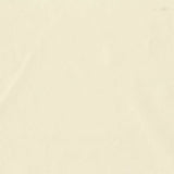 Nylon Stretch Interlock Knit Fabric, 90 gsm, 180 cm — Beige