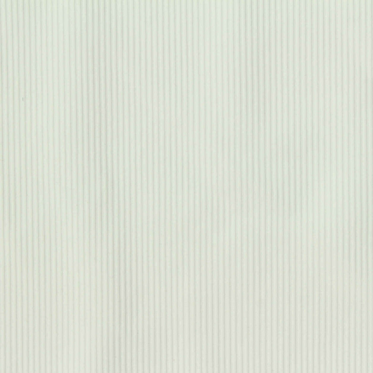 Nylon Stretch Rib Knit Fabric, 160 gsm, 130 cm — White
