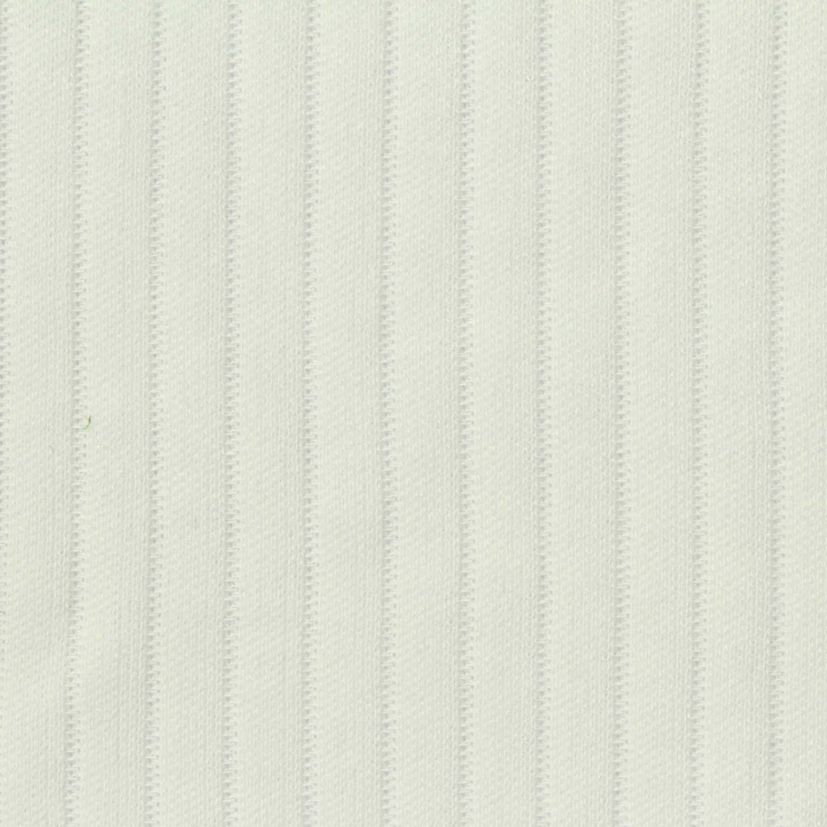 Cotton Viscose Rib Knit Fabric, 200 gsm, 185 cm — White