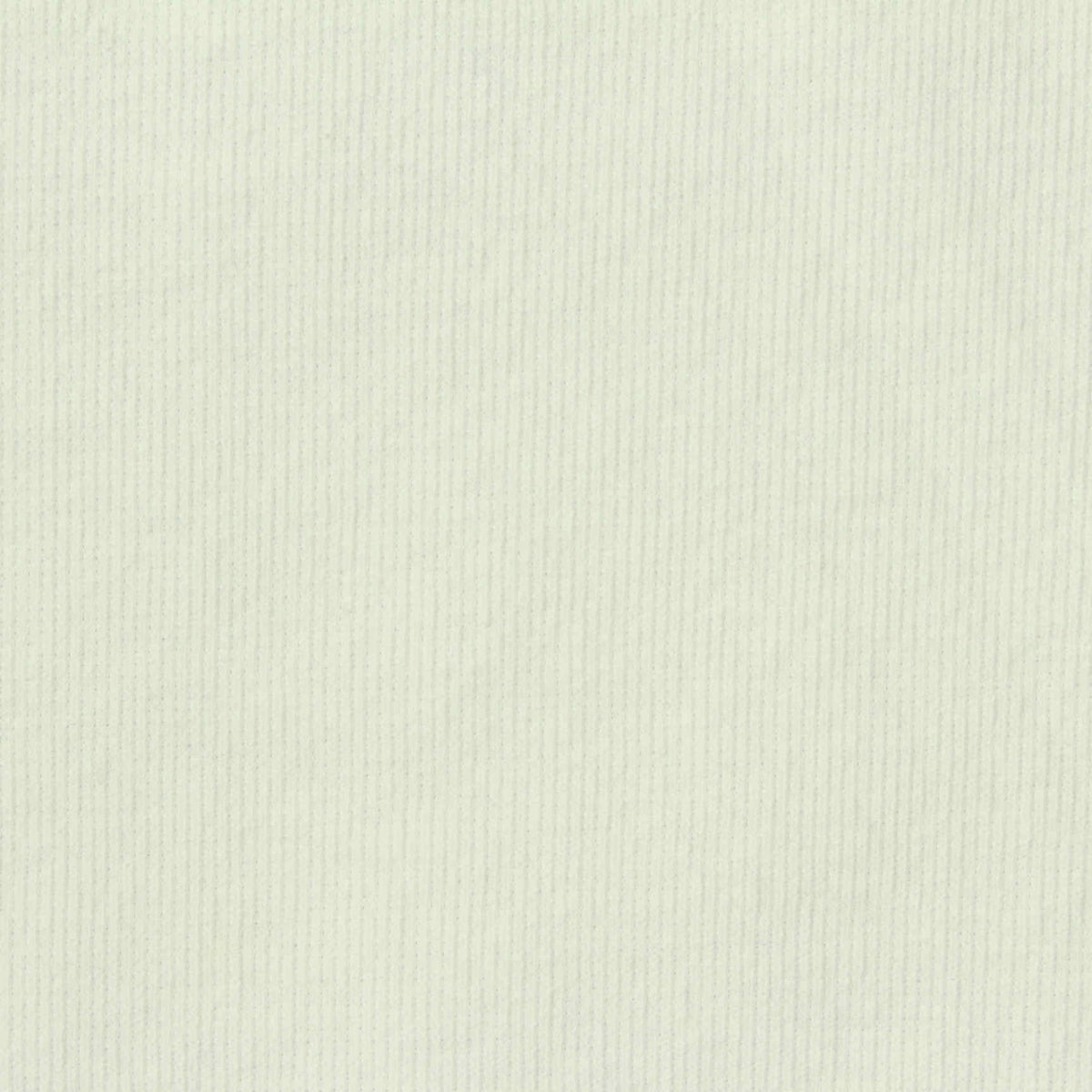Cotton Polyester Jersey Knit Fabric, 210 gsm, 150 cm — White