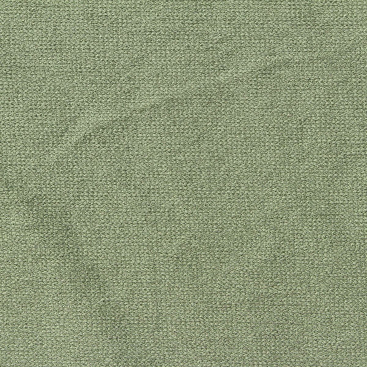 Cotton Polyester Jersey Knit Fabric, 210 gsm, 150 cm — Green, ref EF-253530