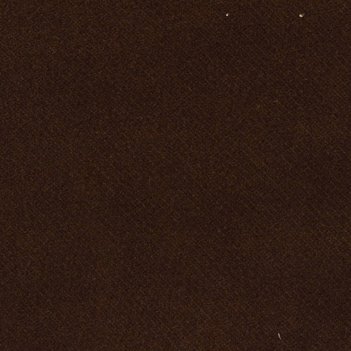Polyester Stretch Knit Fabric, 280 gsm, 185 cm — Brown