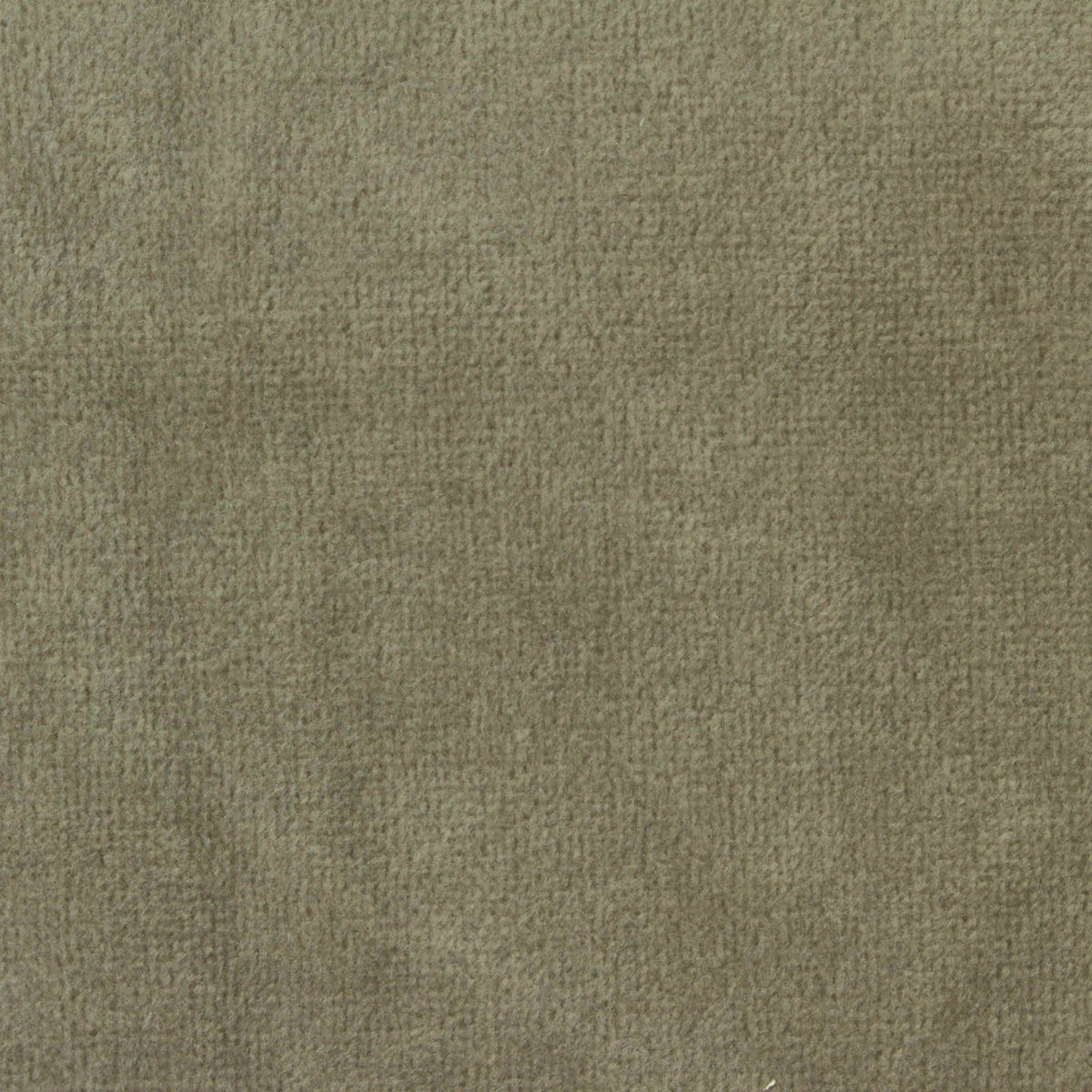 Crepe Fabric, 380 gsm, 150 cm — Khaki