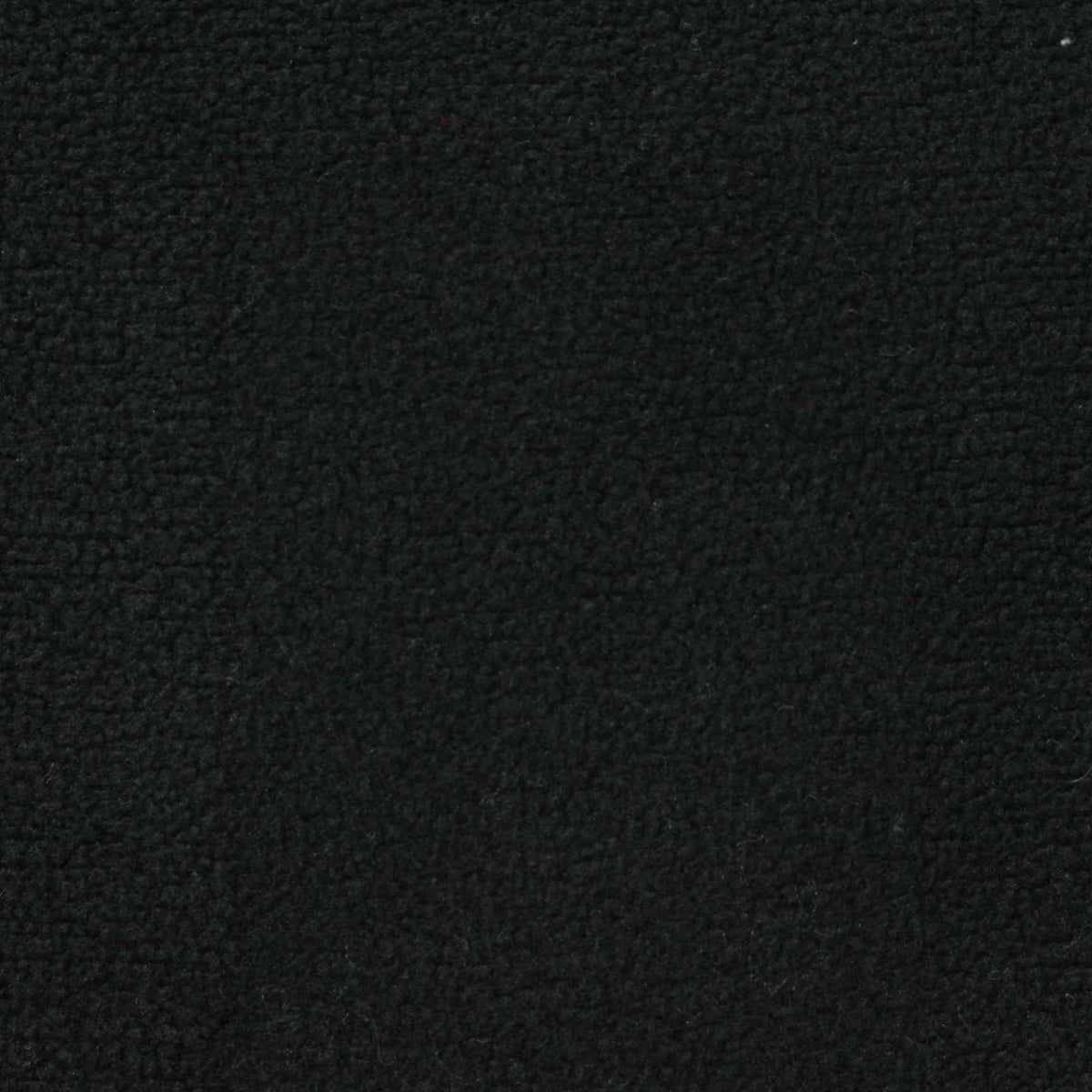 Minky Fabric, 460 gsm, 150 cm — Black