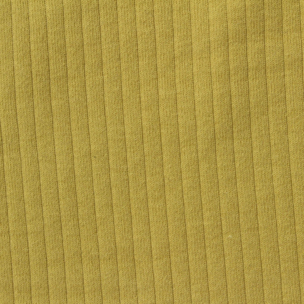 Cotton Stretch Rib Knit Fabric, 235 gsm — Khaki