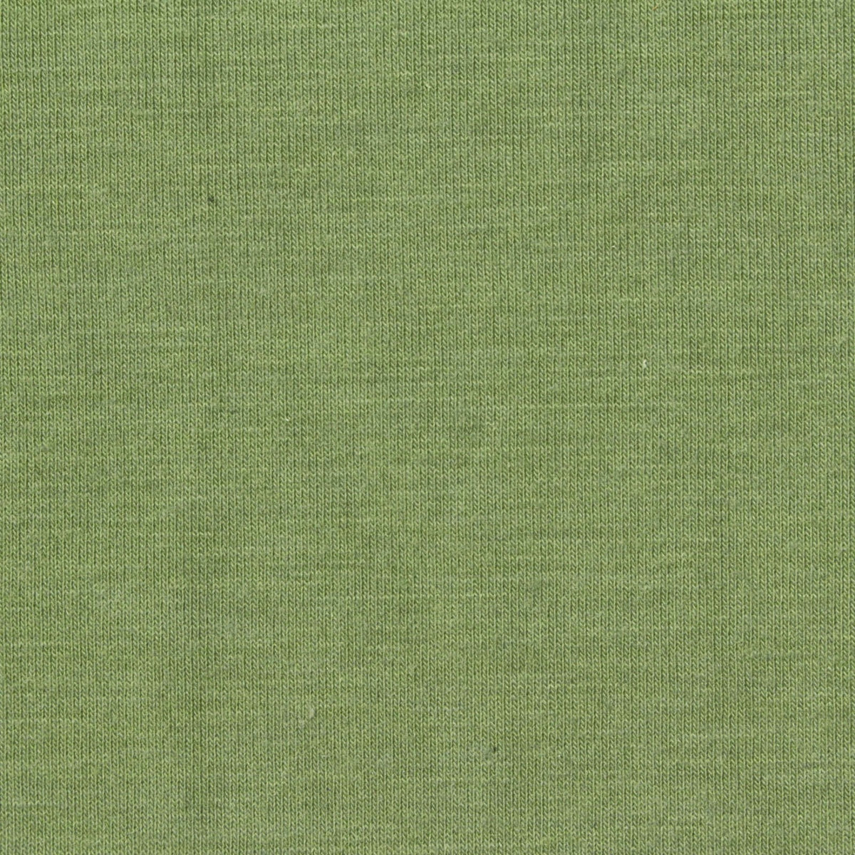 Sage Brushed Jersey Knit