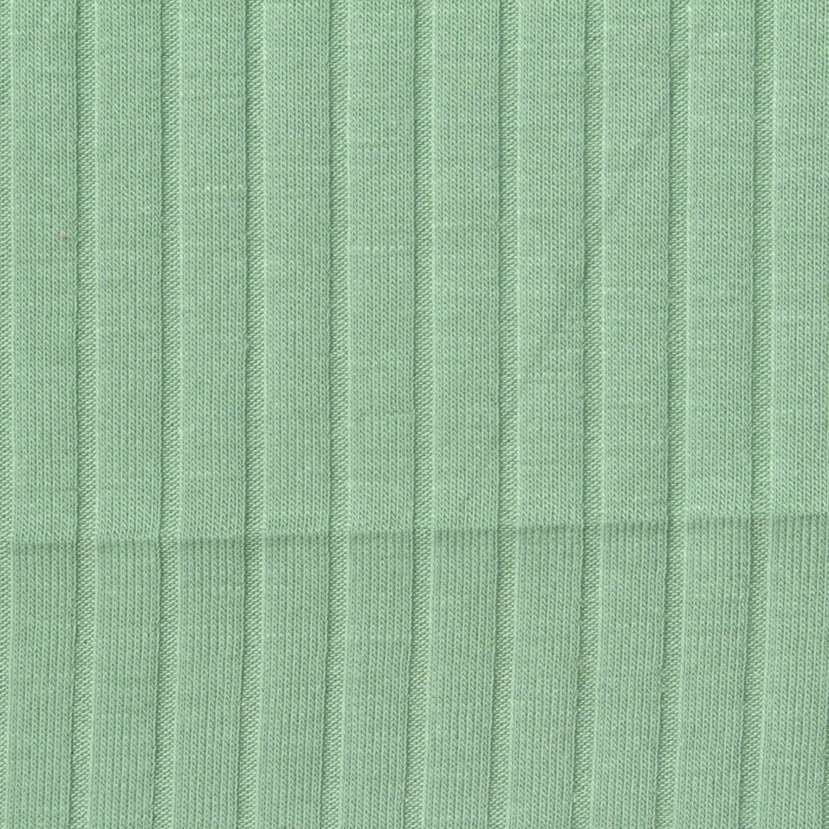 Polyester Stretch Rib Knit Fabric, 170 gsm — Green, ref EF-253979