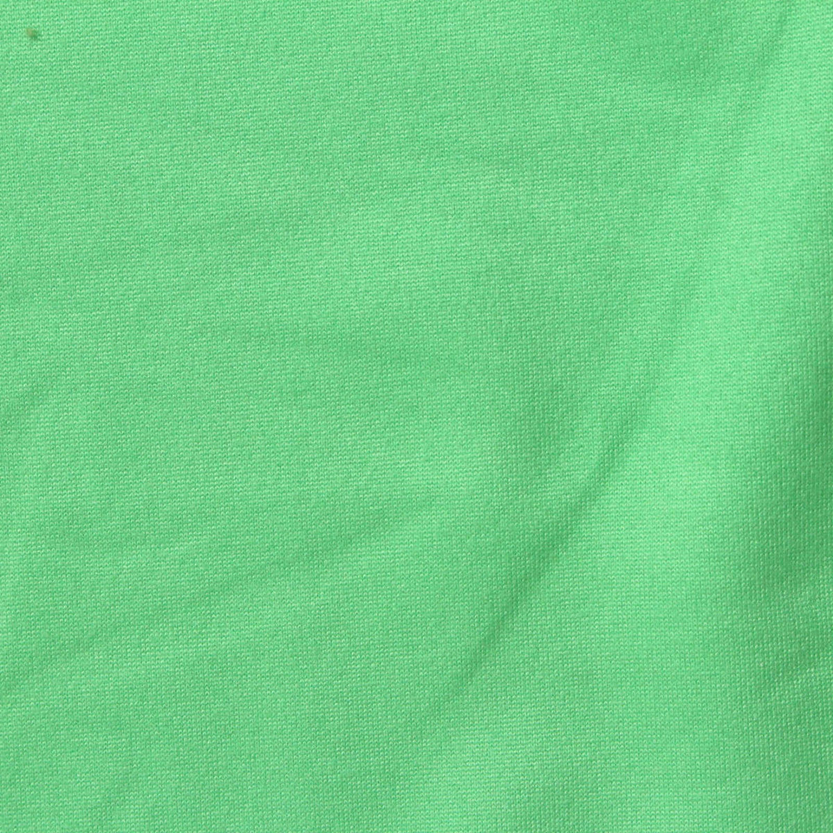 Brushed Polyester Stretch Jersey Knit Fabric, 170 gsm — Green
