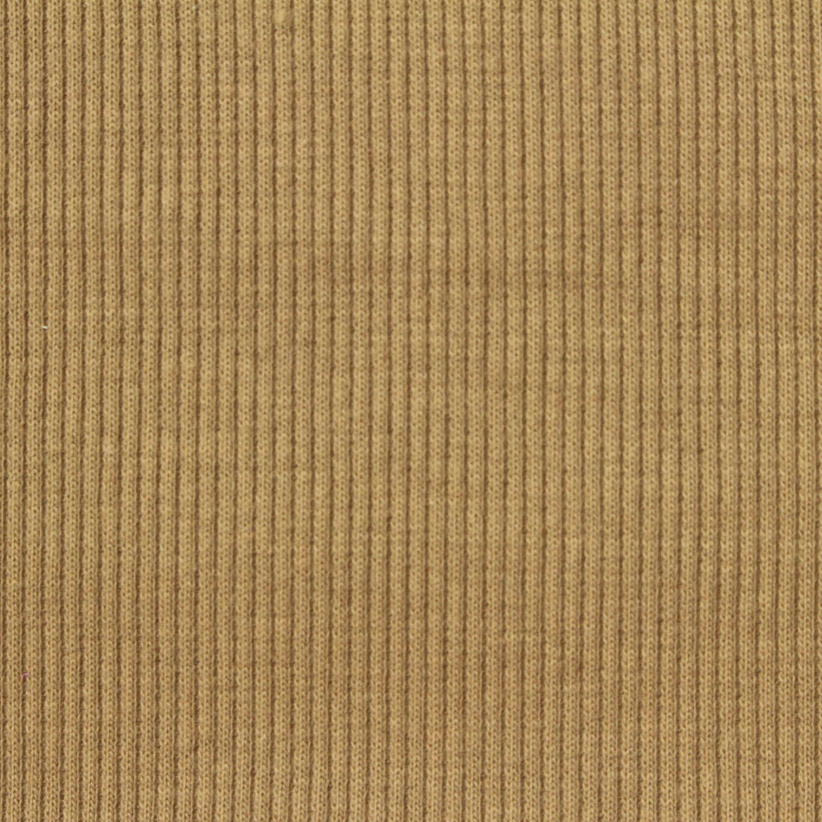 Camel Ribbed Rib Knit, Cotton-Poly