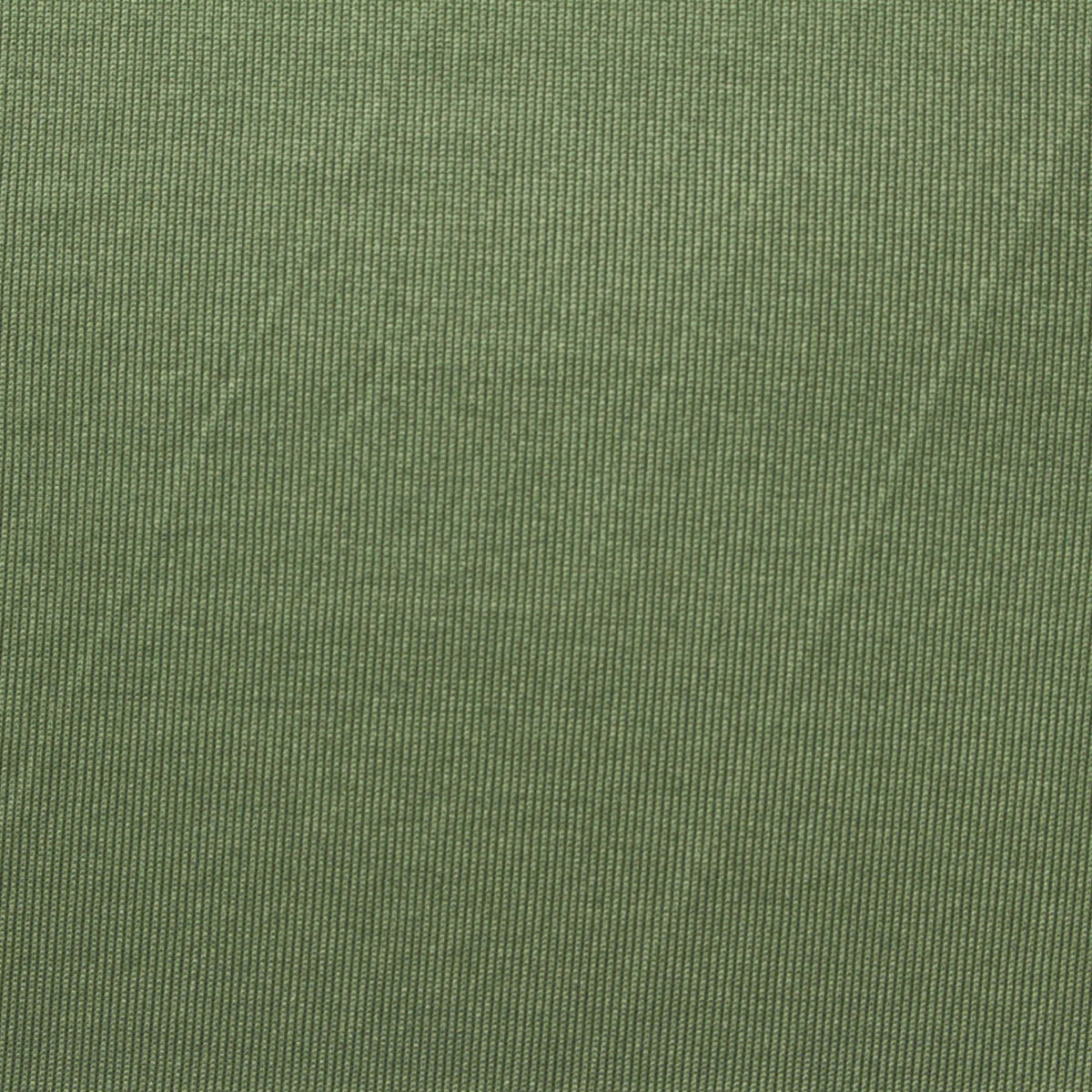 Polyester Stretch Rib Knit Fabric, 250 gsm — Green