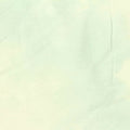Printed Polyester Viscose Stretch Jersey Knit Fabric, 210 gsm — Green