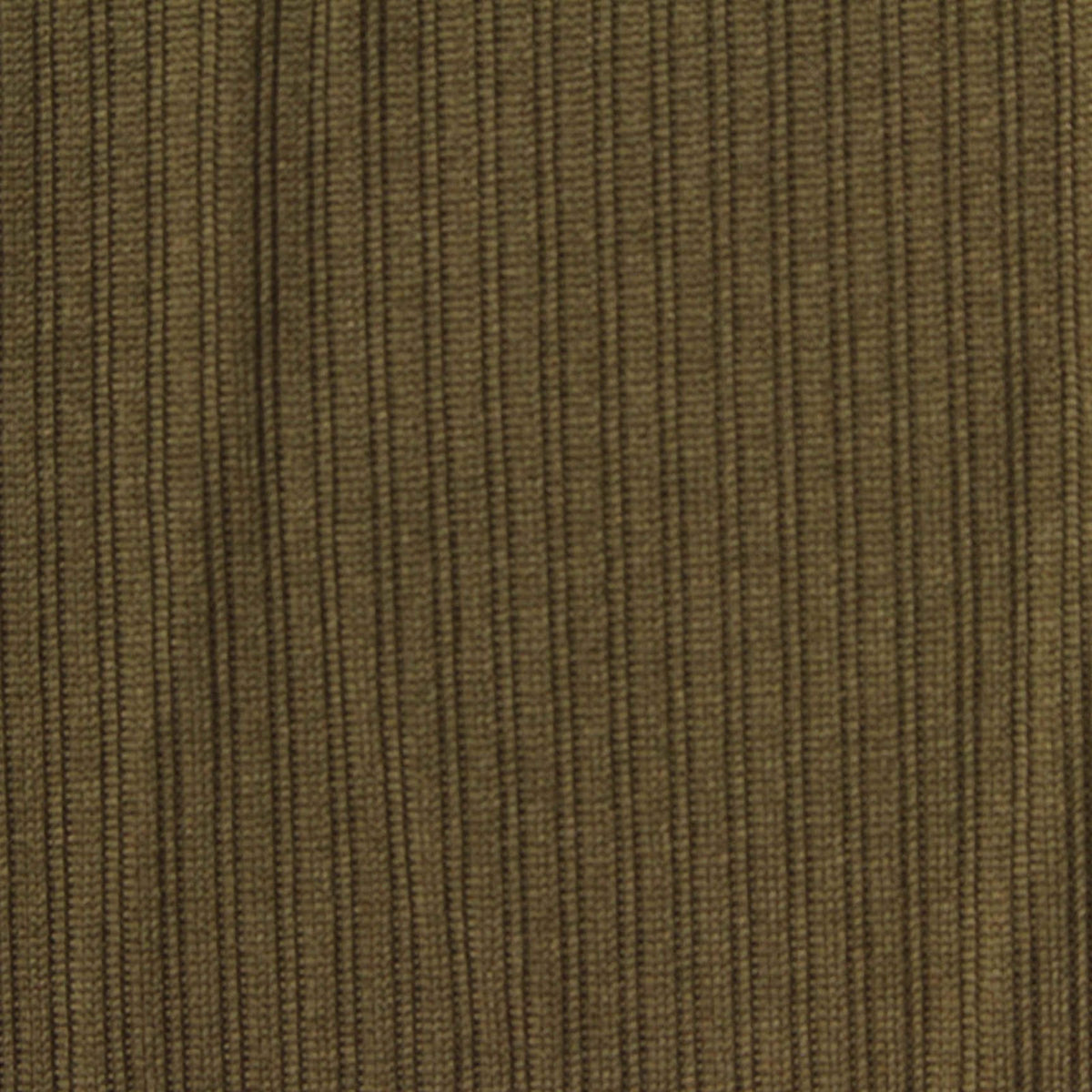 Brushed Polyester Stretch Rib Knit Fabric, 310 gsm, 170 cm — Khaki