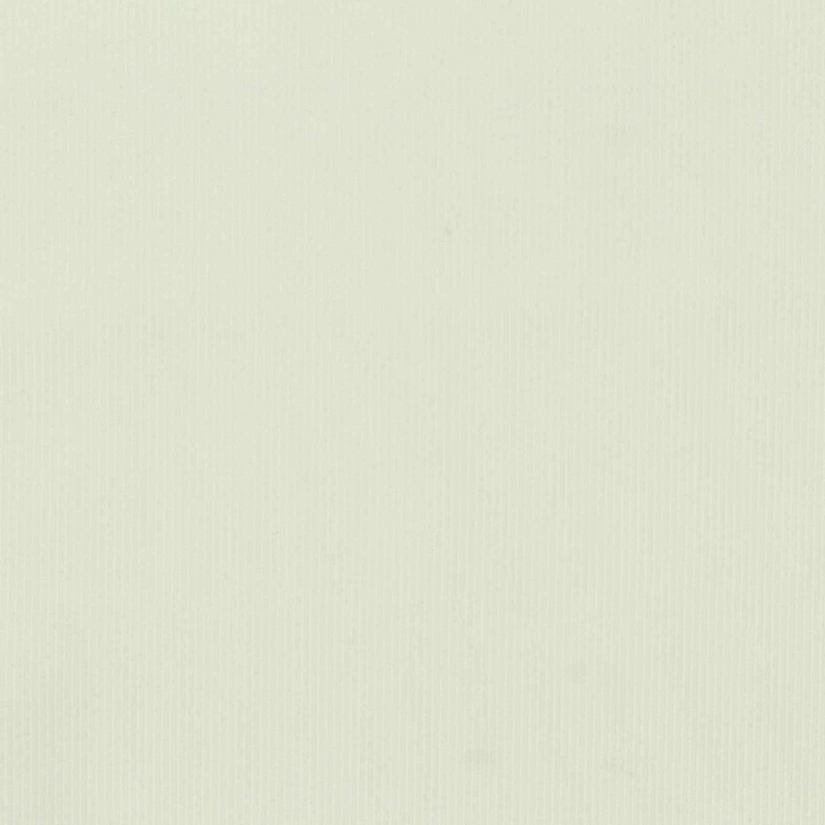 Polyester Stretch Interlock Knit Fabric, 250 gsm, 160 cm — White