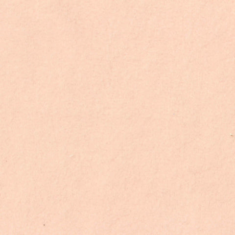 Brushed 100% Polyester French Terry Fabric, 300 gsm, 170 cm — Pink