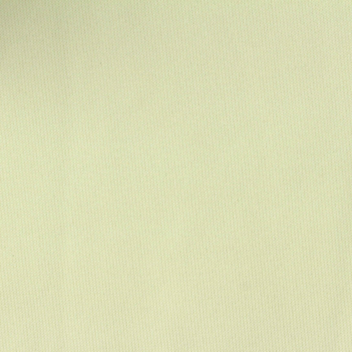 Brushed 100% Polyester Interlock Knit Fabric, 300 gsm, 170 cm — Green